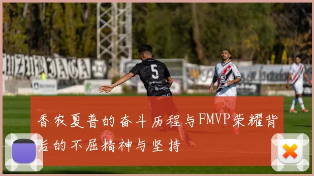 香农夏普的奋斗历程与FMVP荣耀背后的不屈精神与坚持
